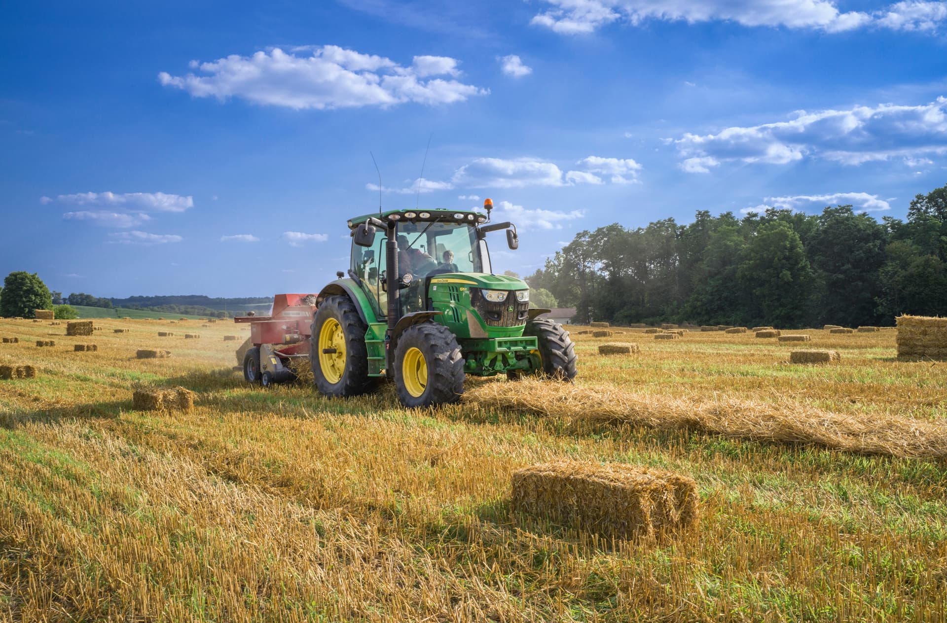 Agriculture & Food Systems